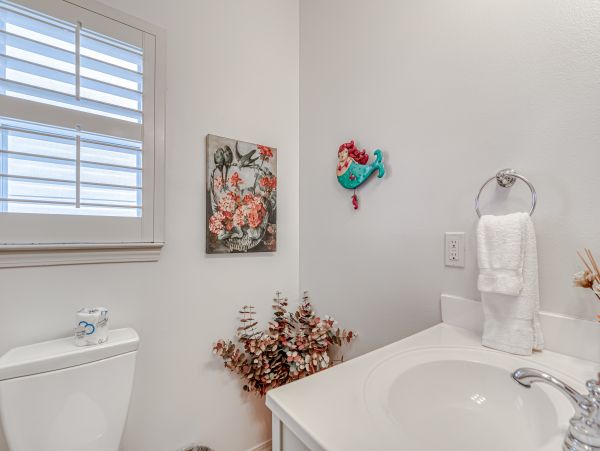 Alabama Beach Areas Home 1009600