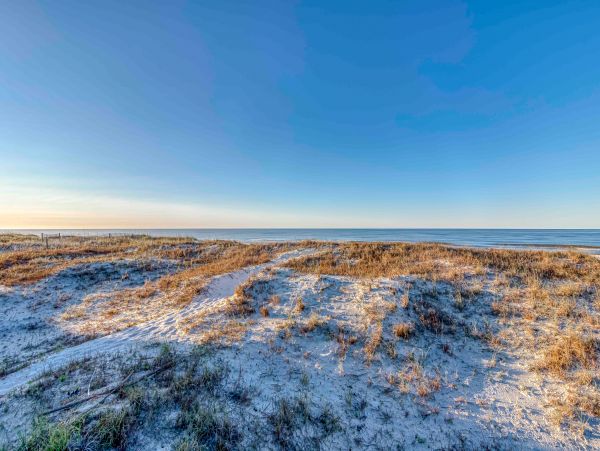 Alabama Beach Areas Home 1009600