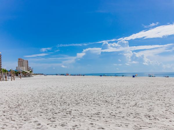 Alabama Beach Areas Home 1009609