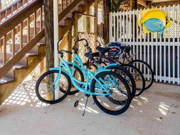 Alabama Beach Areas Home 1009616