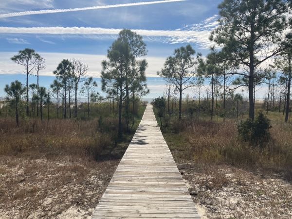 Alabama Beach Areas Home 1009616