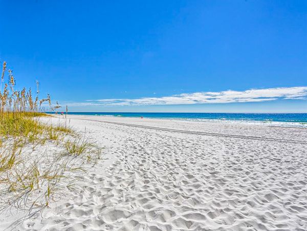 Alabama Beach Areas Home 1009617