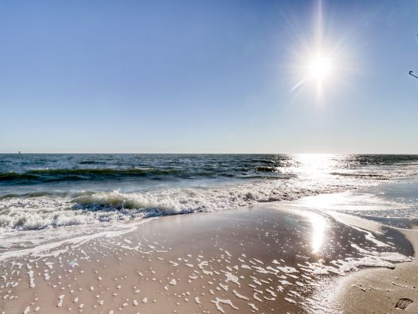 Alabama Beach Areas Home 1009621