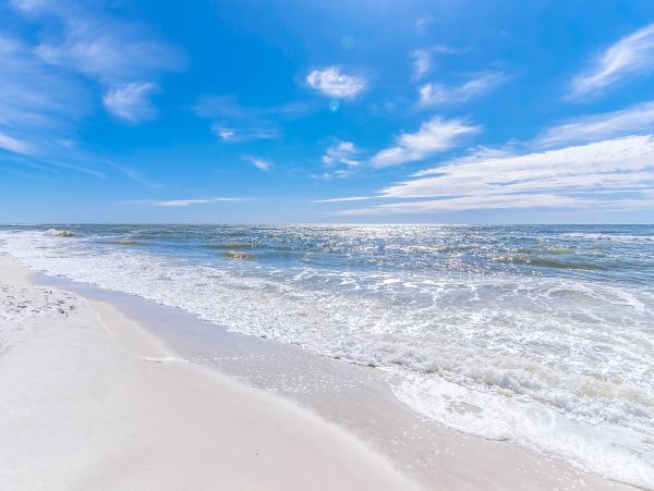 Alabama Beach Areas Home 1009661