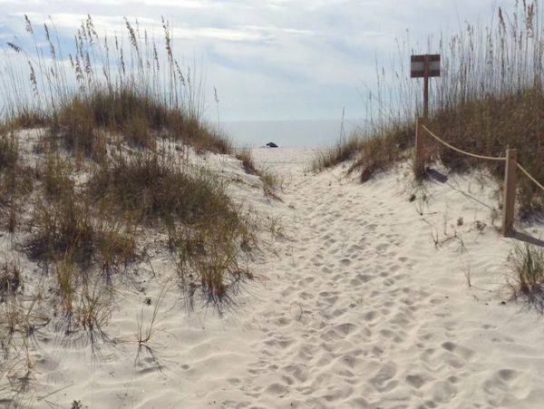 Alabama Beach Areas Home 1009670