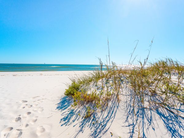 Alabama Beach Areas Home 1009672