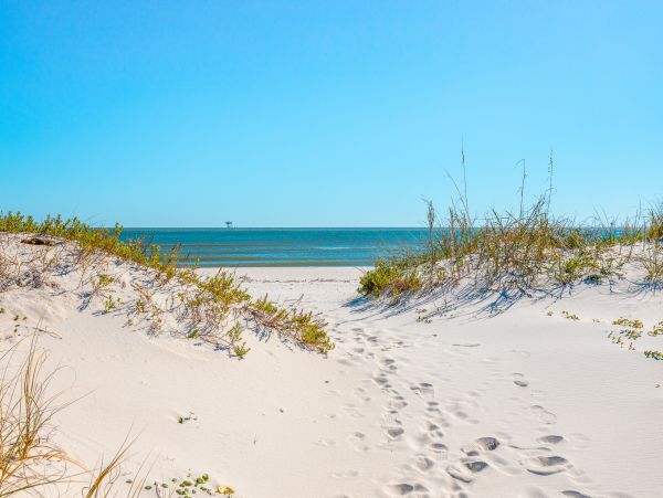 Alabama Beach Areas Home 1009672