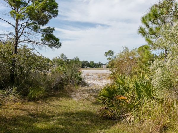 Alabama Beach Areas Home 1009675