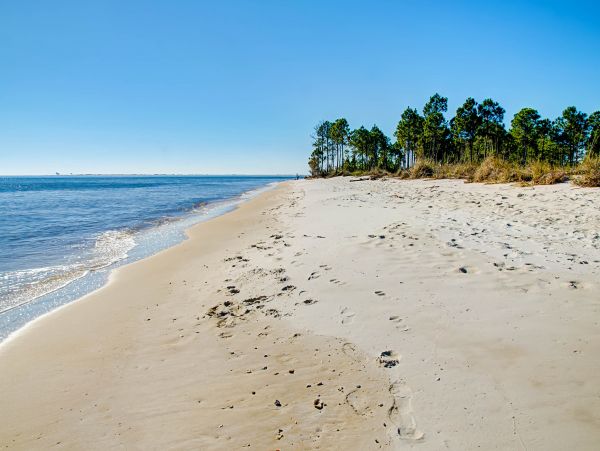 Alabama Beach Areas Home 1009682