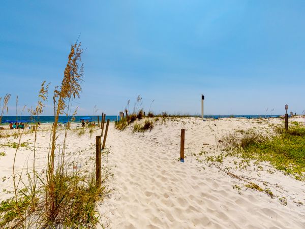 Alabama Beach Areas Home 1009689