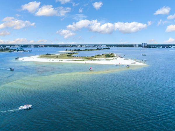 Alabama Beach Areas Home 1009696