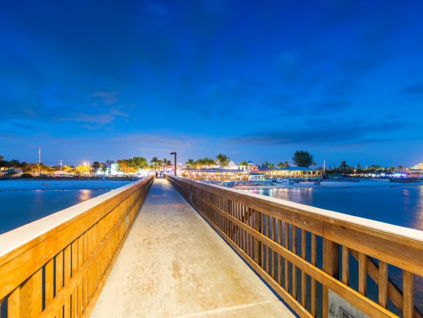 Cape Coral Home 1009717