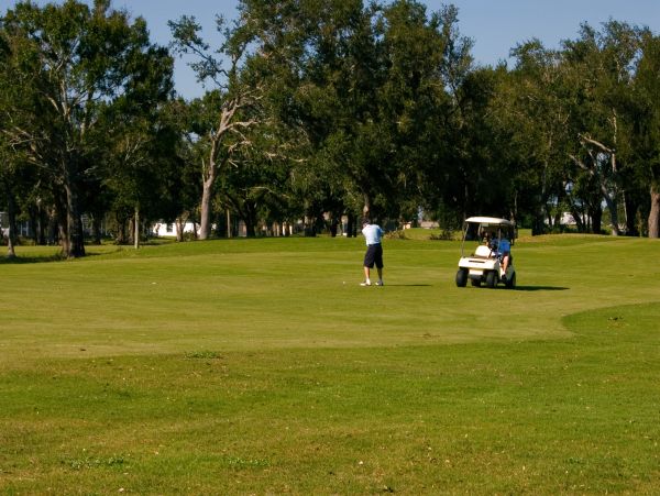 Cape Coral Home 1009746