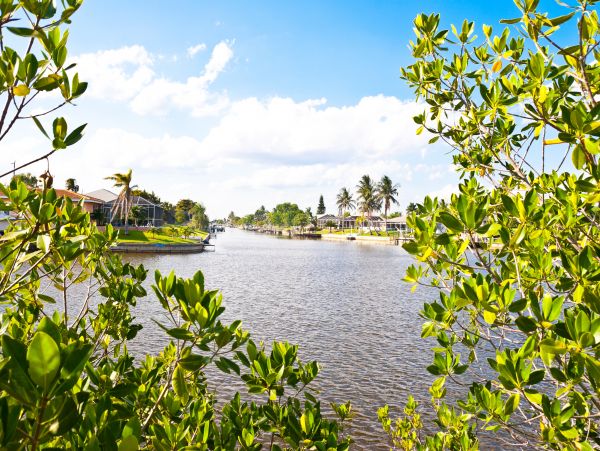 Cape Coral Home 1009746