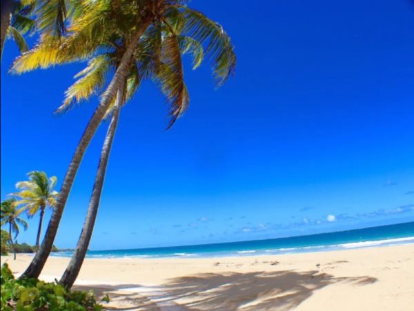 Ocean Views Vacation Condo 2 Bedroom in Rio Mar, Puerto Rico