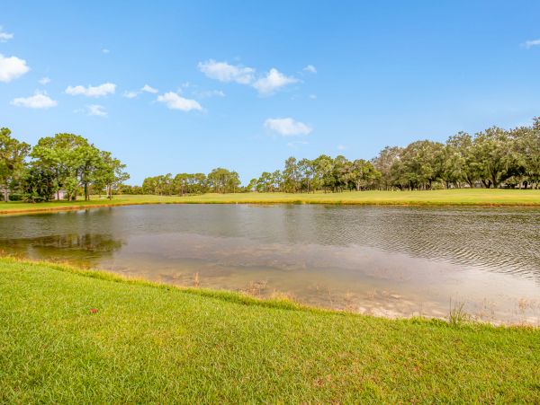 Cape Coral Home 1009765
