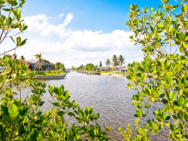 Cape Coral Home 1009798