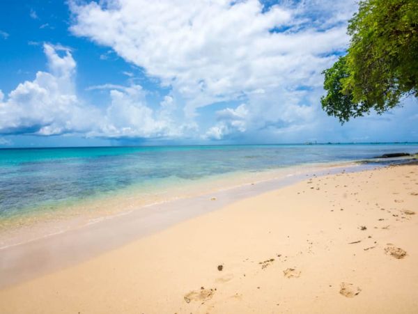 Ocean Views Barbados Vacation Pool Home Five Bedrooms