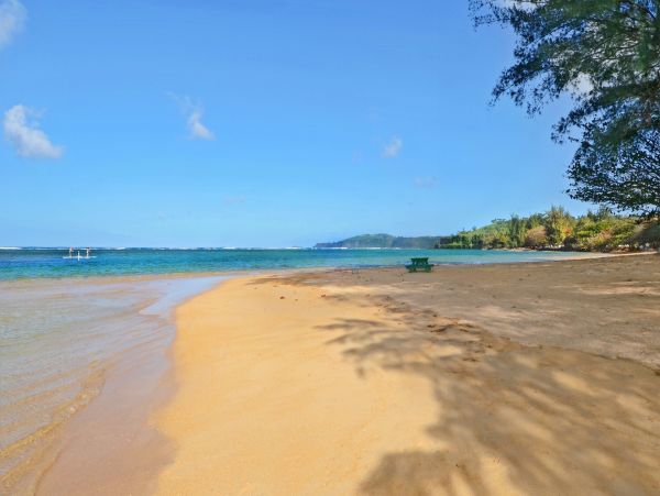 Kilauea Vacation Home Walk to Beach 3 Bedrooms Sleeps 6