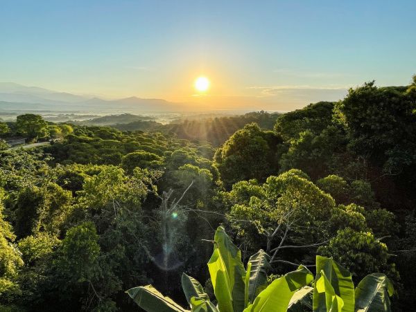 Spacious 5 Bedroom Villa in Manuel Antonio