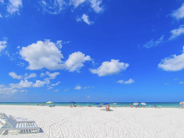 Siesta Key Vacation Rental with Private Pool Near Shell Beach & Village