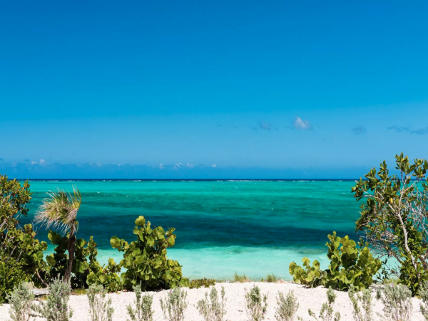 Turks & Caicos Beachfront 2 Bedroom Pool Villa on Grace Bay