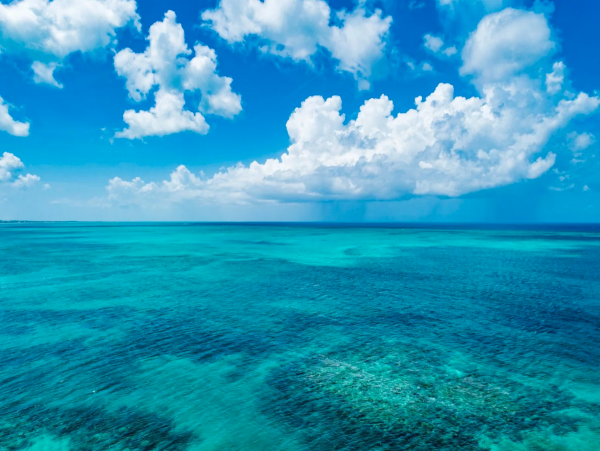 Turks & Caicos Beachfront 2 Bedroom Pool Villa on Grace Bay