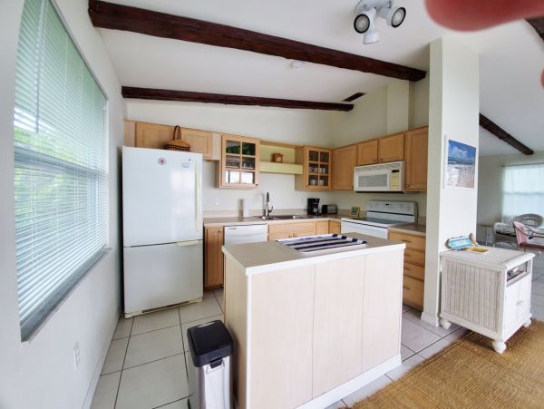 Bonita Springs Home 1009911