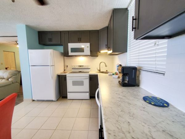Bonita Springs Condo 1009913