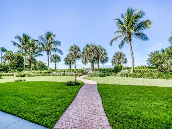 Naples Condo 1009956