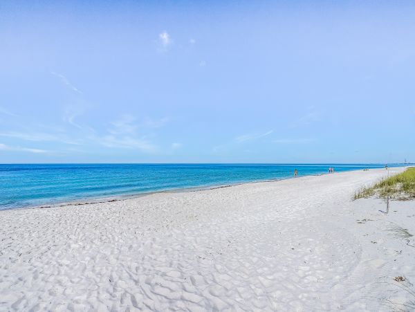 Naples Condo 1009956