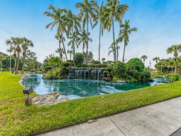 Sarasota Condo 1009987