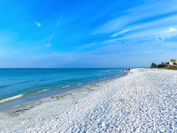 Siesta Key Home 1009999