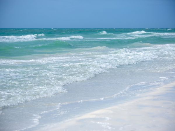 Siesta Key Home 1010006
