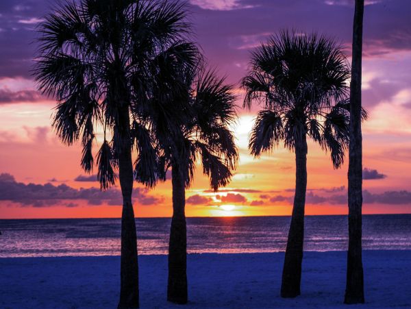 Clearwater Home 1010049
