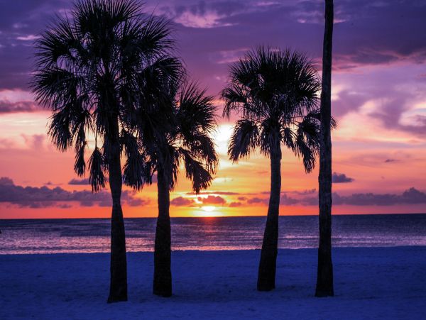 Clearwater Home 1010054