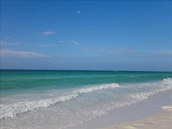 Siesta Key Home 1010075