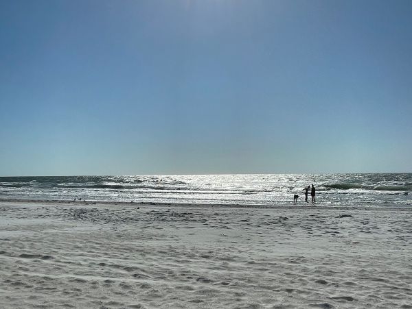 Indian Shores Ai Home 1010083