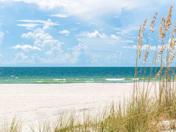 Indian Shores Ai Home 1010120