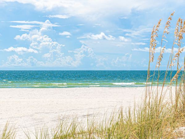 Indian Shores Ai Home 1010125
