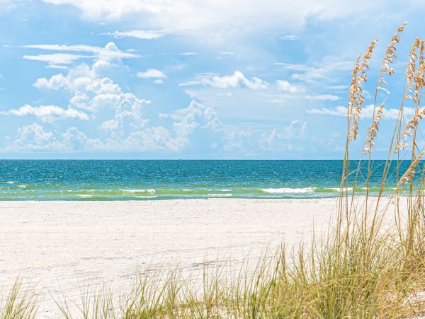 Indian Rocks Indian Shores Home 1010129