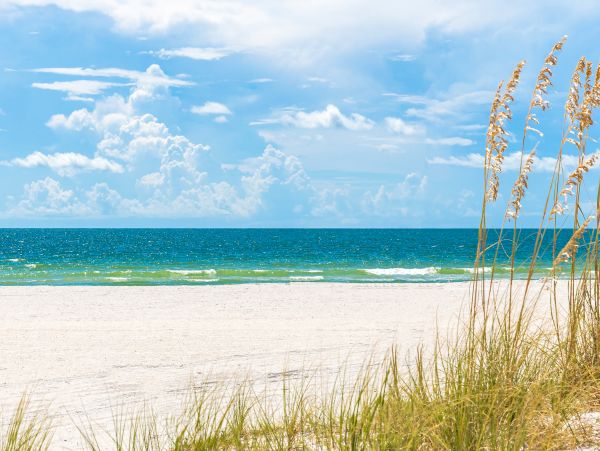 Indian Shores Ai Home 1010130