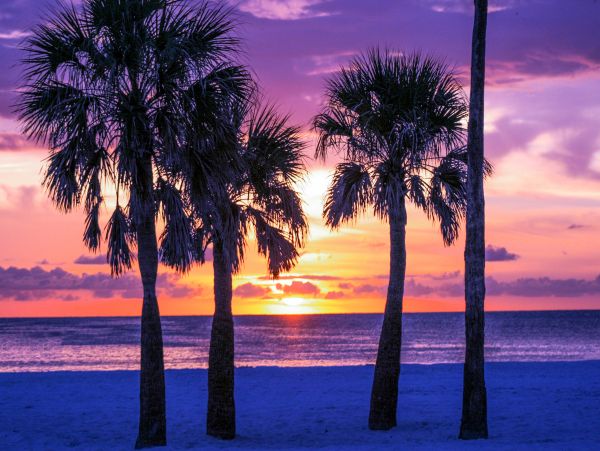 Indian Shores Ai Home 1010130