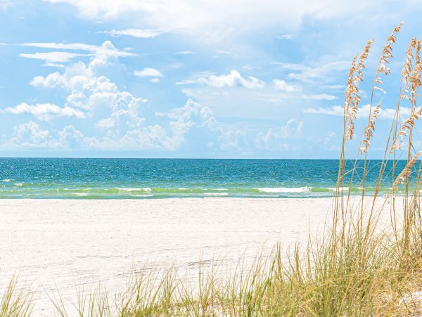 Indian Rocks Indian Shores Home 1010136