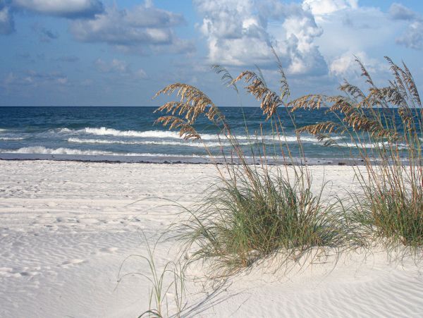 Indian Rocks Indian Shores Home 1010136