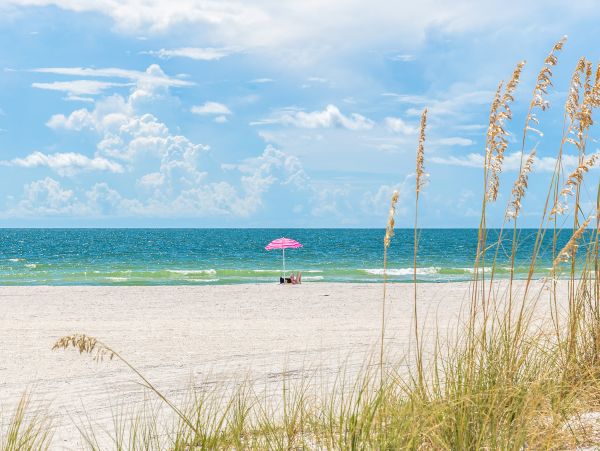 Indian Rocks Indian Shores Home 1010155