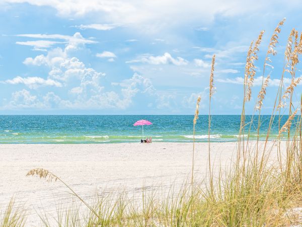 Indian Shores Ai Condo 1010171