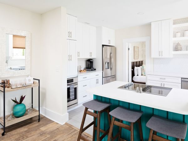 Tampa Home 1010178