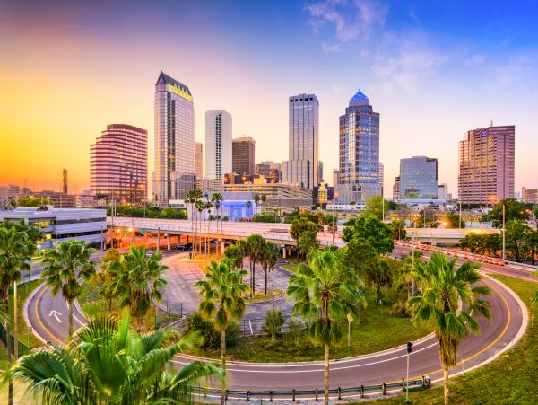 Tampa Home 1010178