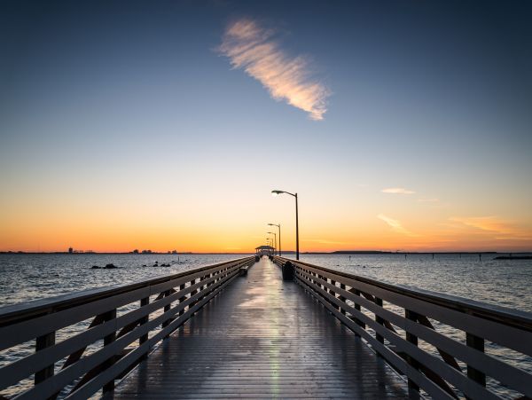 Tampa Home 1010180
